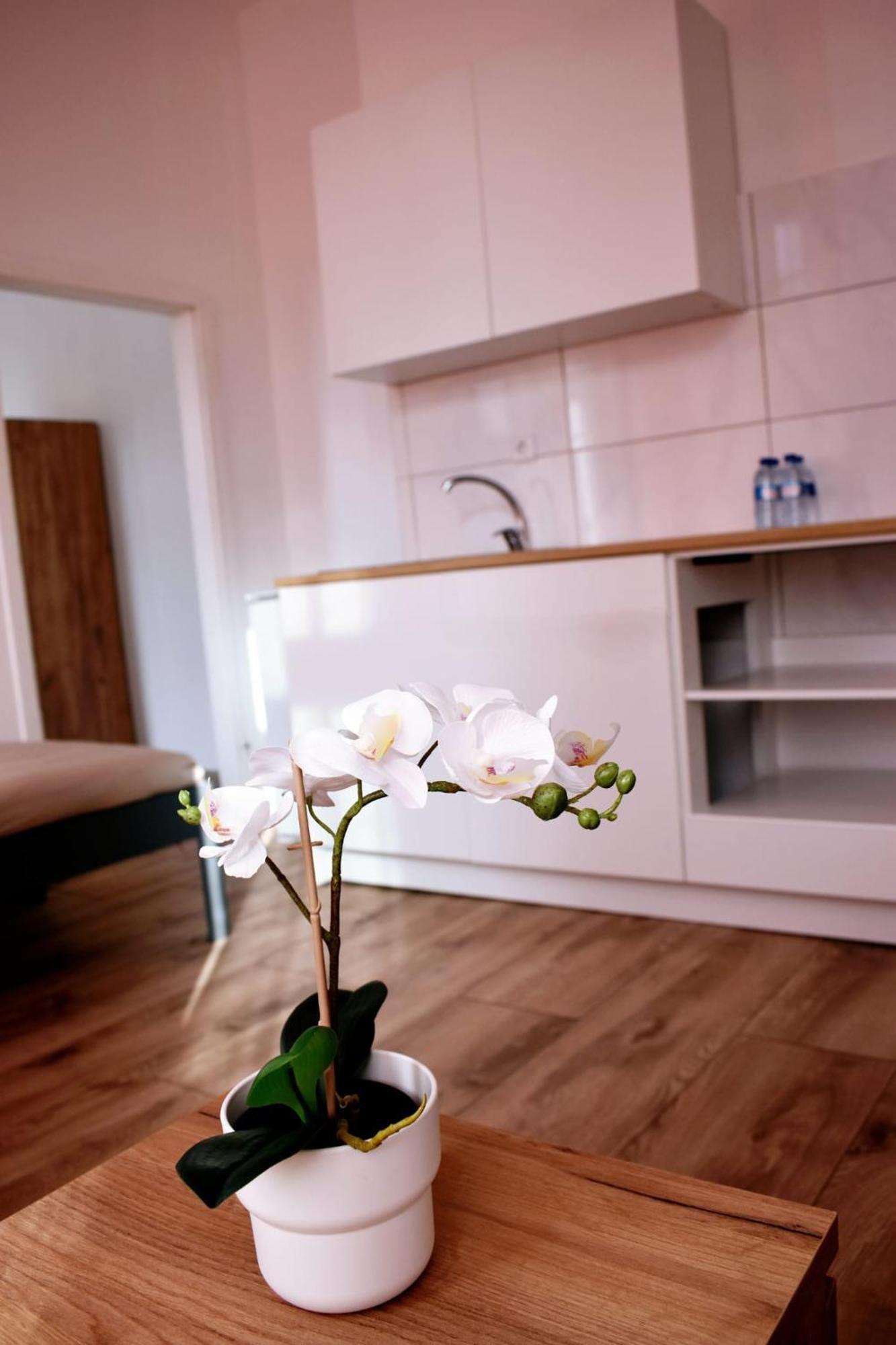 Hotel New Town Dresden Dış mekan fotoğraf